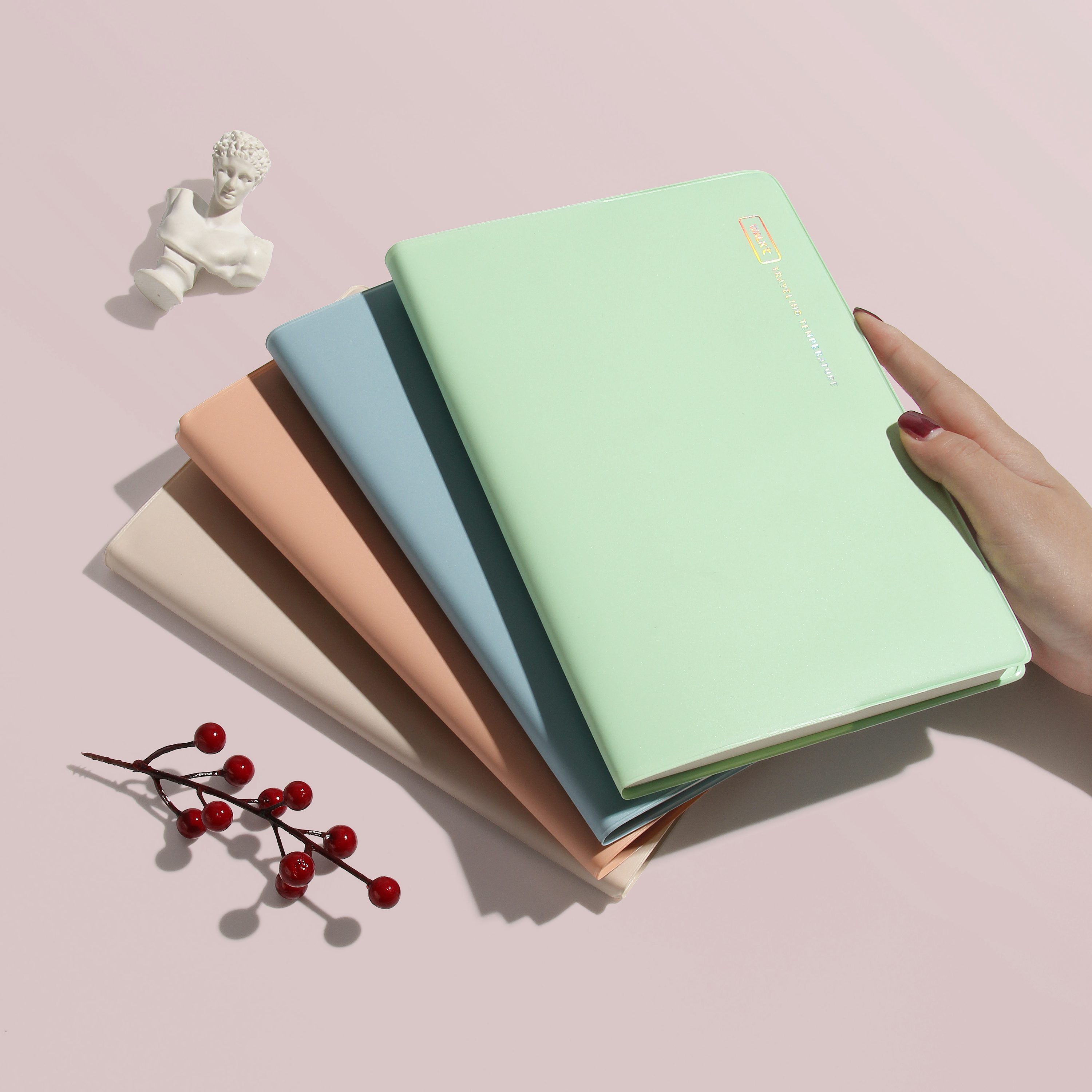 Premium Notebook Collection
